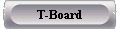  T-Board 